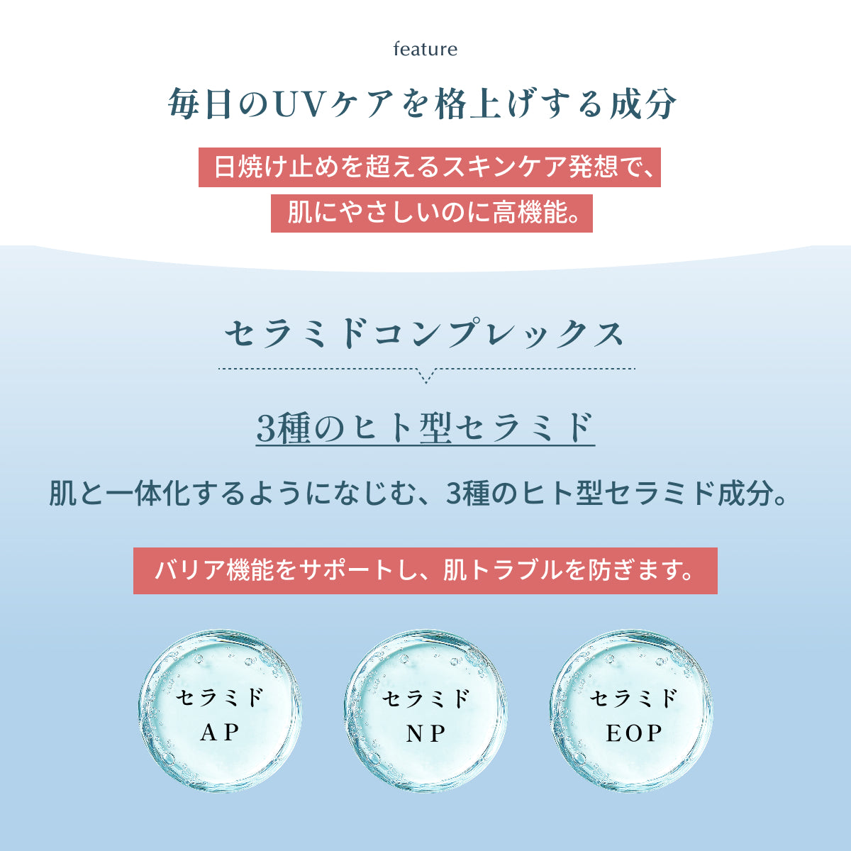 毎日のUVケアを格上げする成分。3種のヒト型セラミド(AP・NP・EOP)を配合し、日焼け止めを超えたスキンケア発想でバリア機能を守り、肌トラブルを防ぐデューイUVプロテクター成分説明。