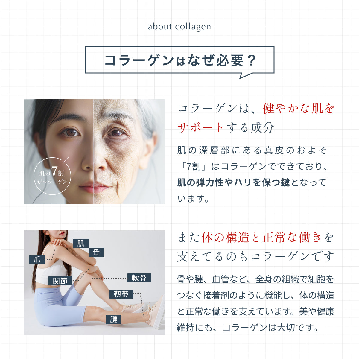 医師監修で解説。肌の真皮の約7割を占めるコラーゲンは弾力性やハリを保つ鍵となり、健やかな肌をサポート。骨・腱・靭帯・軟骨など体の構造と正常な働きを支える重要成分として健康維持に欠かせないことを紹介。