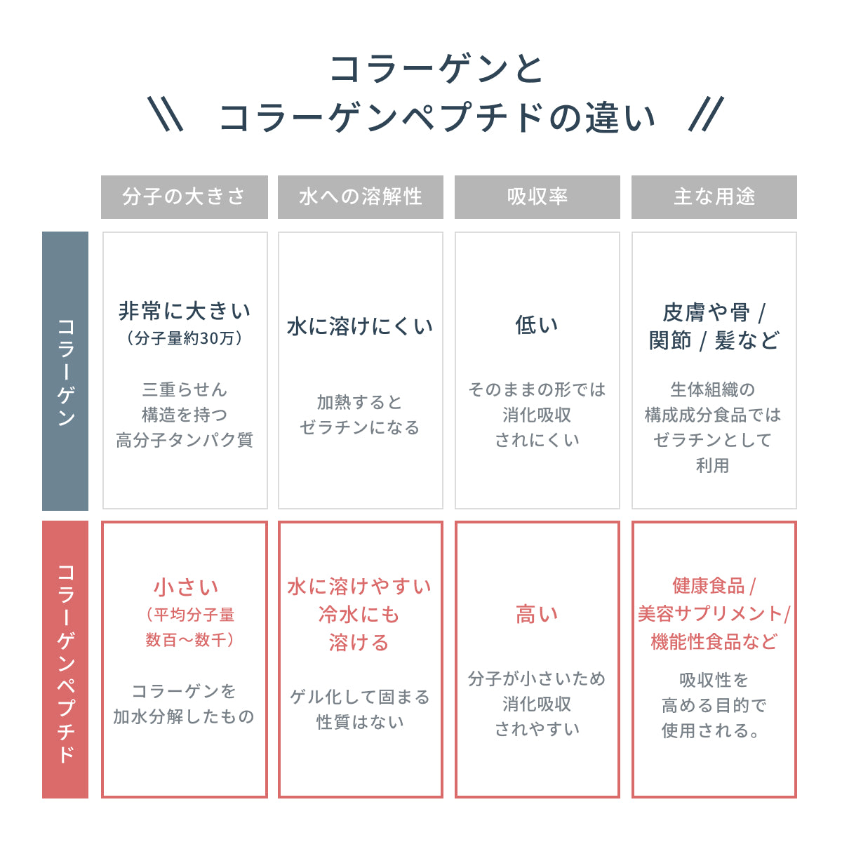 コラーゲンとコラーゲンペプチドの違い。通常のコラーゲンは分子が大きく水に溶けにくく吸収率も低い。一方ペプチドは小さく、水に溶けやすく吸収率が高いため健康食品や美容サプリメントに最適。
