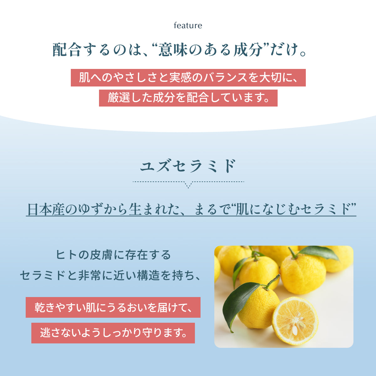 配合するのは意味のある成分だけ。日本産ゆず由来ユズセラミドを配合。ヒトの皮膚に存在するセラミドに近い構造でうるおいを届け、乾燥しやすい肌を守り逃さないハイドレートリファイニングローション成分説明。