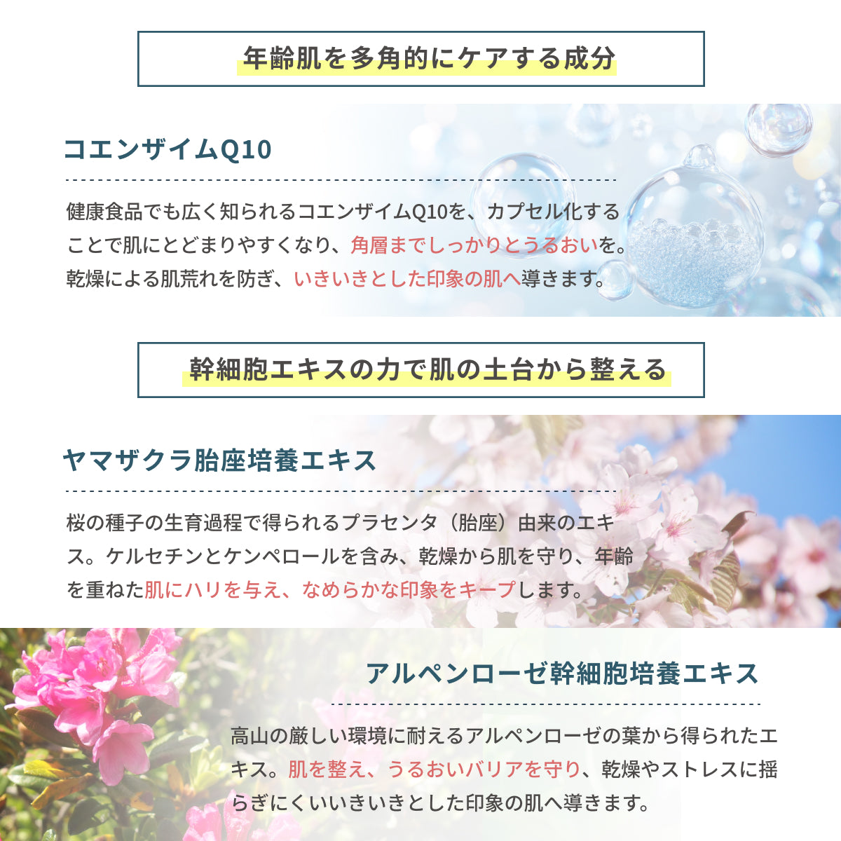 コエンザイムQ10、ヤマザクラ胎座培養エキス、アルペンローゼ幹細胞エキスを配合。年齢肌を多角的にケアし、肌野土台からうるおいとハリをサポートする化粧水。