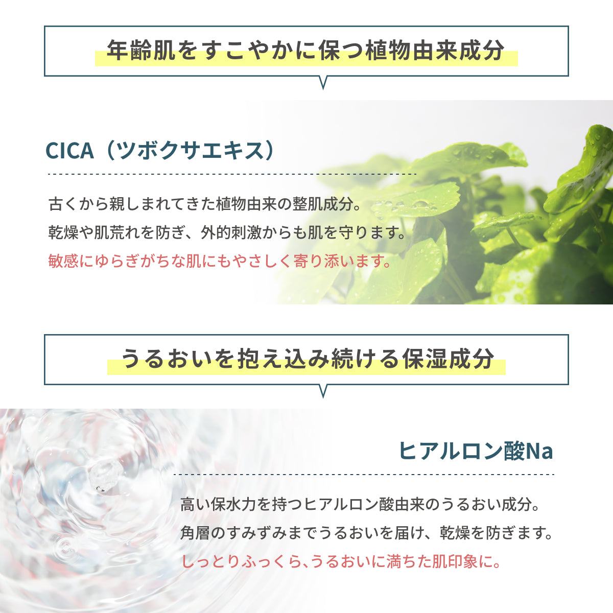 CICAエキスとヒアルロン酸Naを配合。敏感に傾きやすい肌をやさしく守り、角層までうるおいを届けるモイスチャーバリアクリーム。