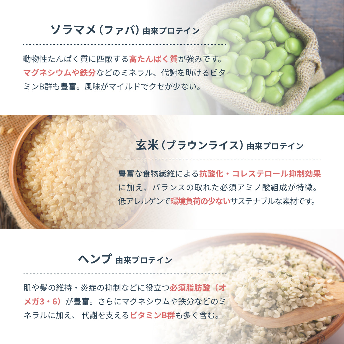 ソラマメ(ファバ)由来プロテインは高たんぱく質が強み。マグネシウムや鉄分などのミネラル、代謝を助けるビタミンB群も豊富。玄米(ブラウンライス)由来プロテインは抗酸化・コレステロール抑制効果に加え、バランスの取れた必須アミノ酸組成が特徴。ヘンプ由来プロテインは必須脂肪酸(オメガ3・6)が豊富で代謝を支えるビタミンB群も多く含む。