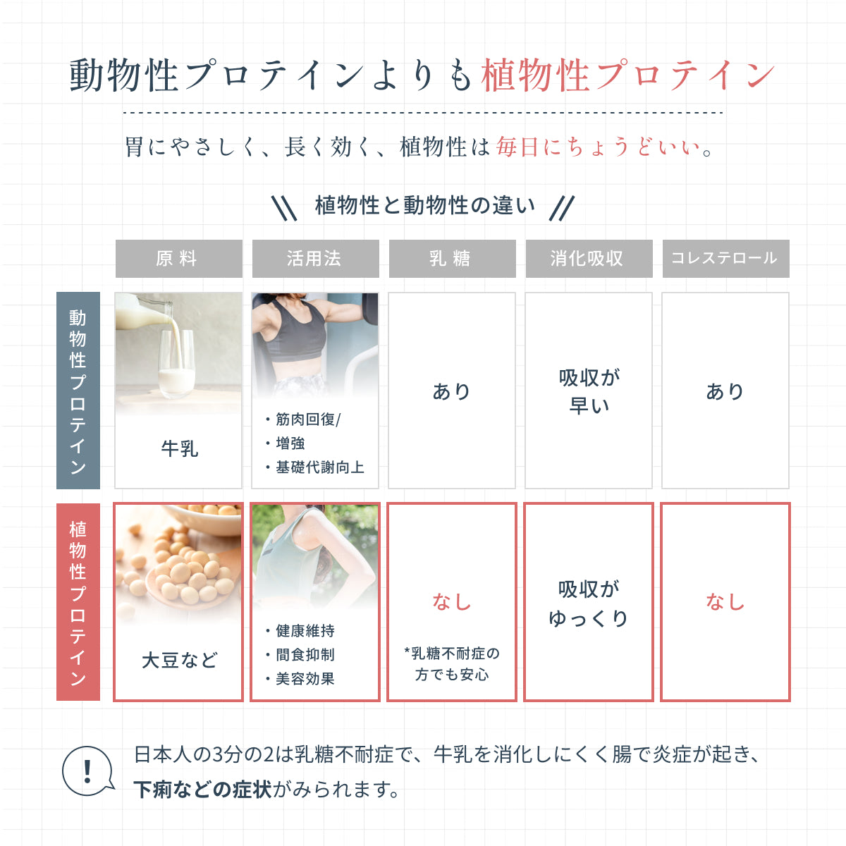 動物性と植物性プロテインの違いを解説。胃にやさしく、長く効く、植物性は毎日にちょうどいい。
消化吸収や乳糖不耐症対応、美容と健康寿命維持に有効な植物性を推奨。