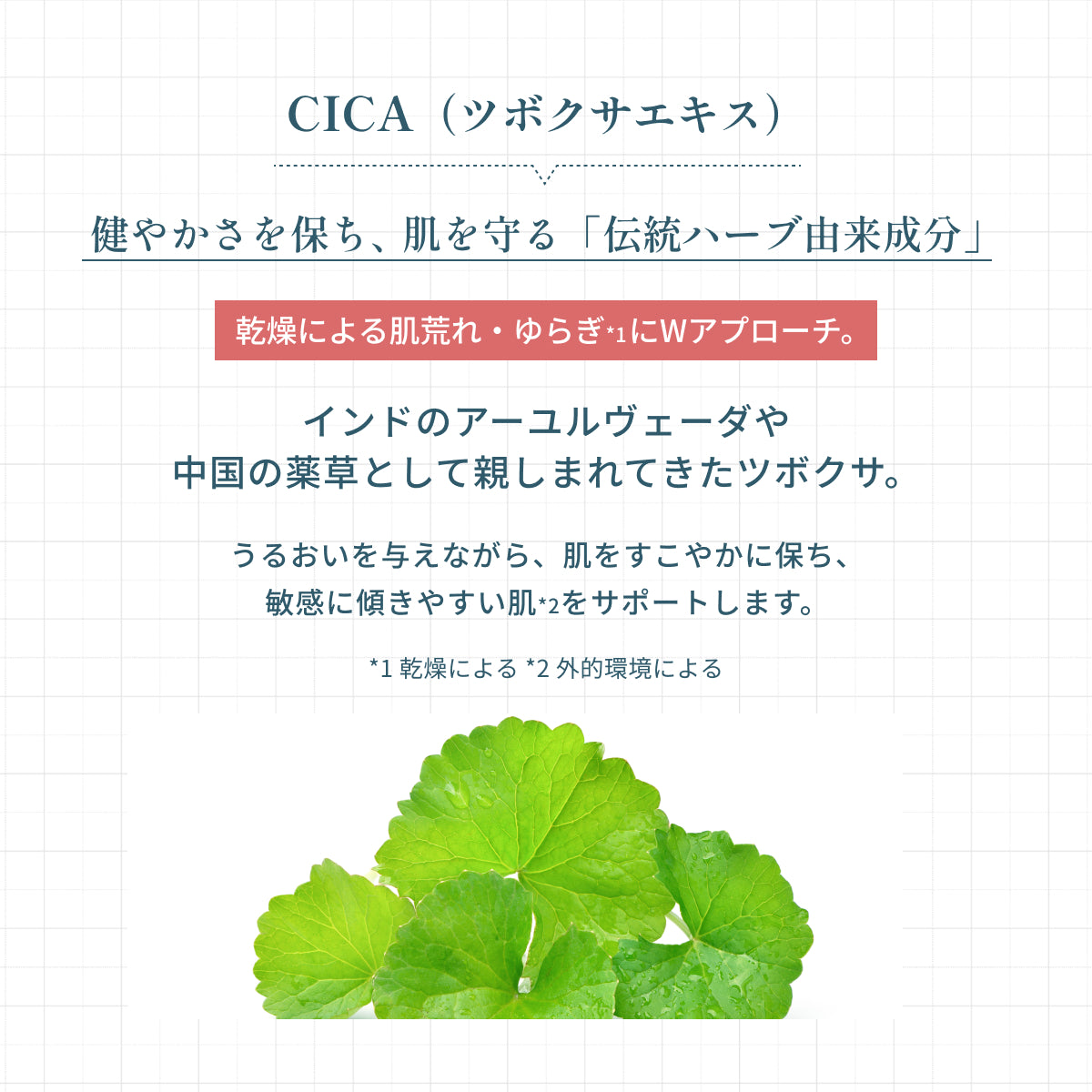 伝統ハーブ由来のCICAエキスを配合。肌荒れやゆらぎにWアプローチし、うるおいを与えながらすこやかに保つ。敏感に傾きやすい肌をサポートする成分説明。