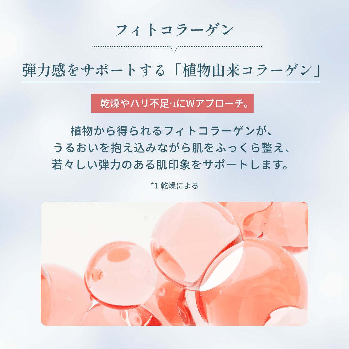 植物由来のフィトコラーゲンを配合。うるおいを抱え込みながら肌を整え、ふっくらとした若々しい弾力感を与える。乾燥やハリ不足に応える成分説明。