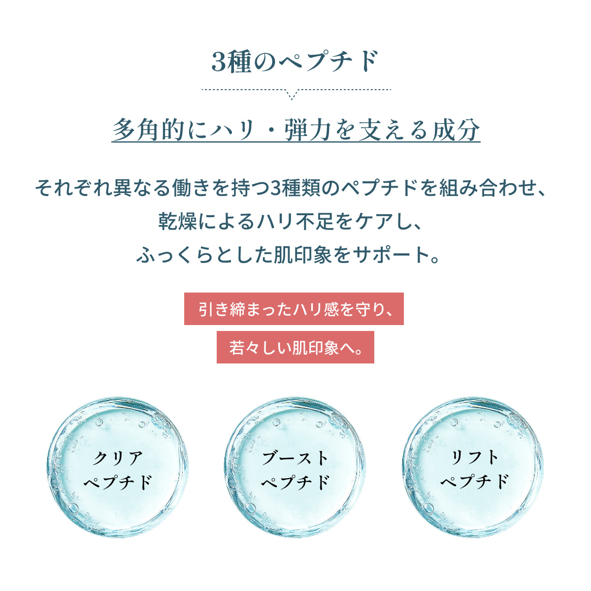 3種のペプチドを配合。乾燥によるハリ不足に多角的にアプローチし、ふっくらと若々しい印象へ導くリジュブネイトクリーム。
