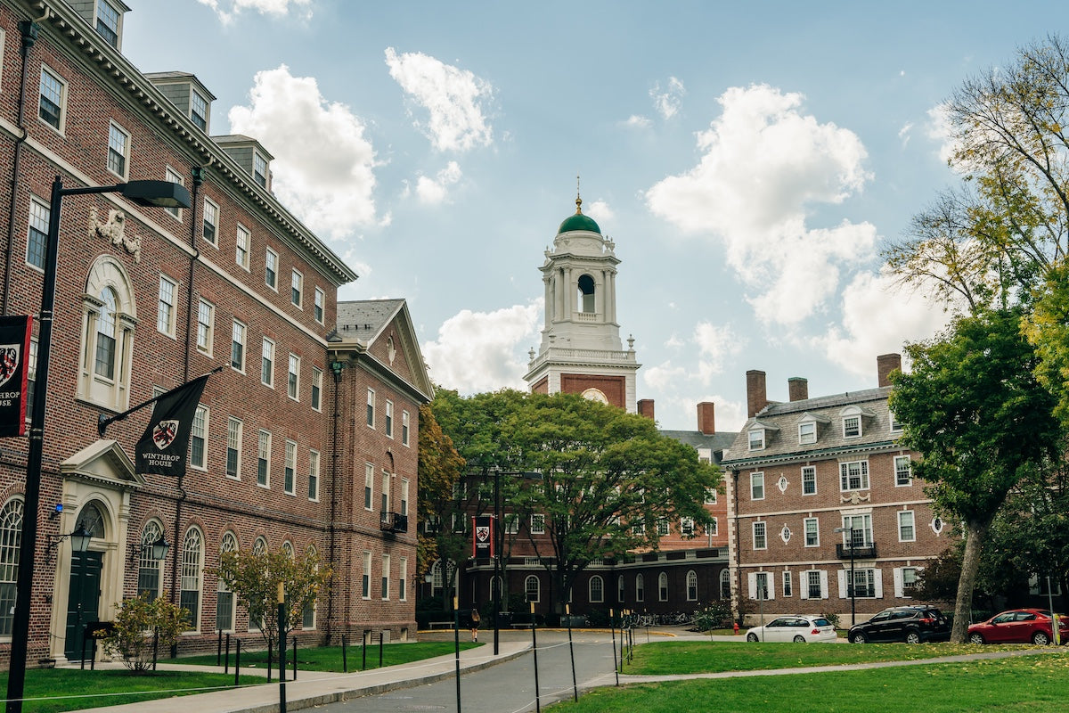 【40代から必見】ハーバード式「老化を防ぐ」5つの食事法とは?