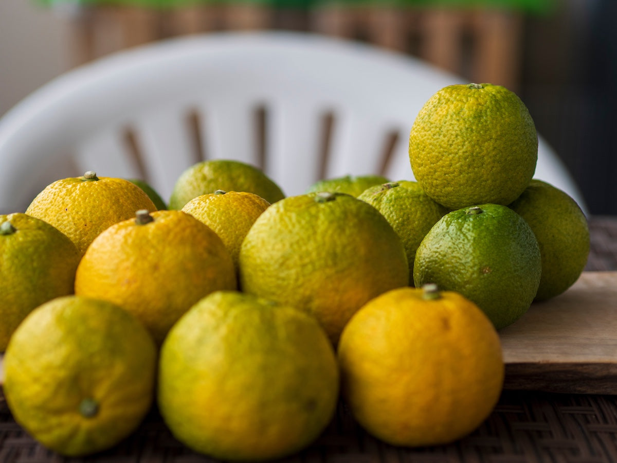 じゃばらと花粉症の関係とは？特徴や成分・取り入れ方を分かりやすく解説