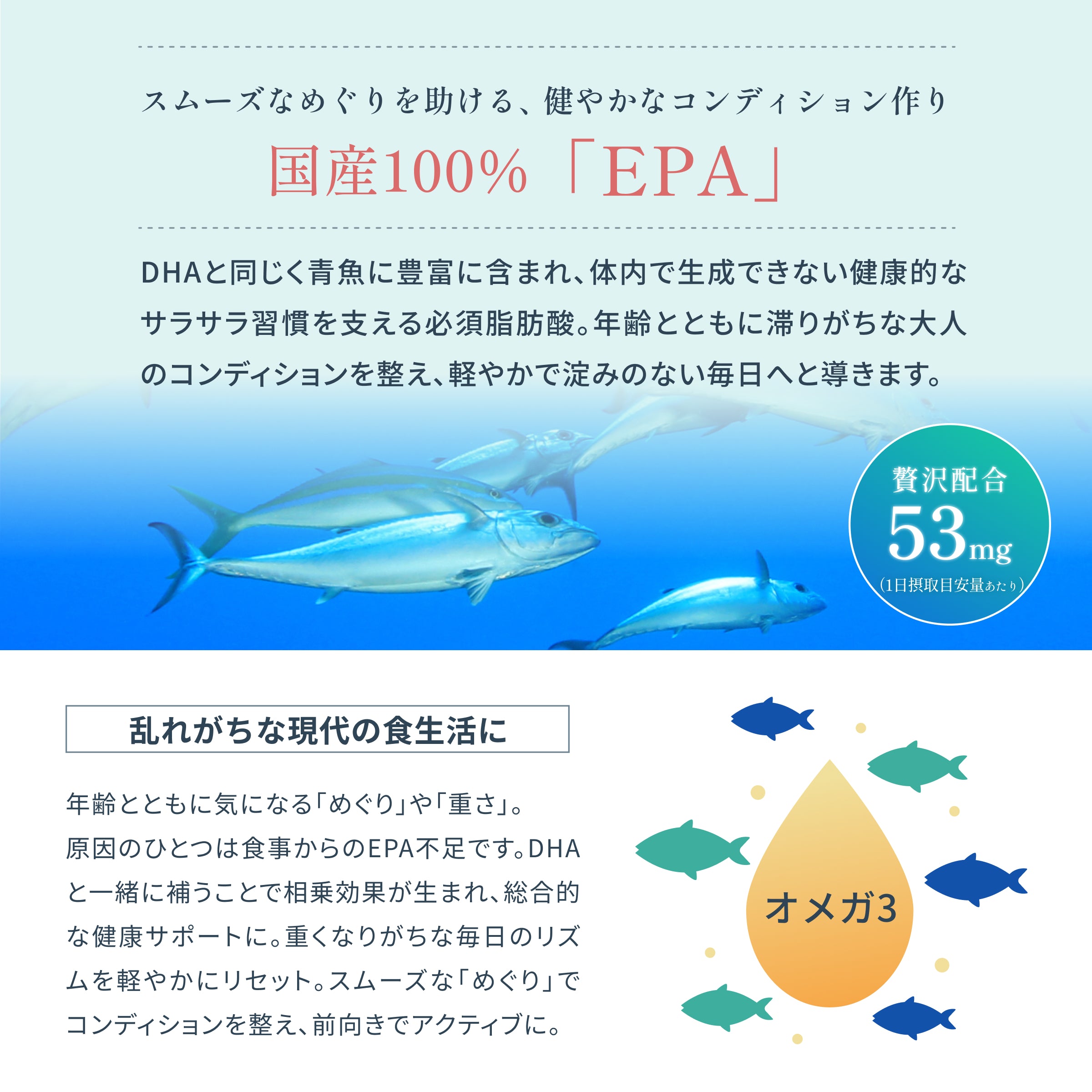 メモリーオメガ3