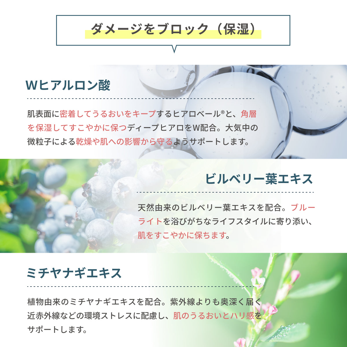 肌表面に密着して潤いを保つヒアロベールと角層を保湿するディープヒアロのWヒアルロン酸、天然由来のビルベリー葉エキス、植物由来のミチャヤナギエキスを配合。ブルーライトや環境ストレスから肌を守り、うるおいをキープするUVケア。