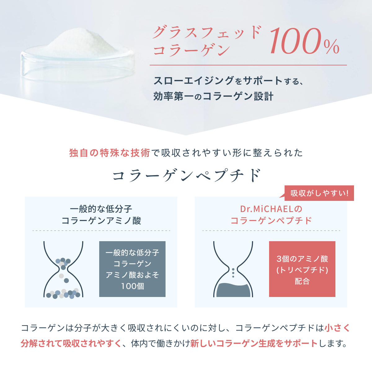 グラスフェッドコラーゲン100％使用。小さく分解され吸収されやすいコラーゲンペプチドを採用し、体内で働きかけ肌や体をサポート。一般的な低分子アミノ酸より効率的に吸収される。
