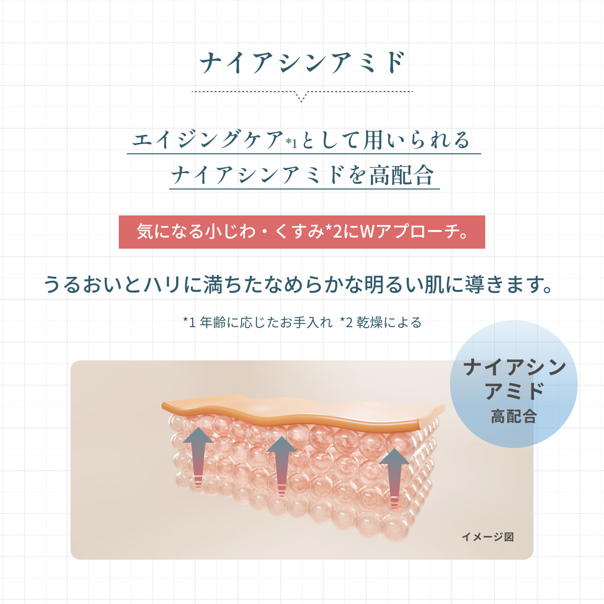 エイジングケアとして用いられるナイアシンアミドを高配合した化粧水。小じわやくすみにWアプローチし、うるおいとハリに満ちた明るくなめらかな肌へ導く。