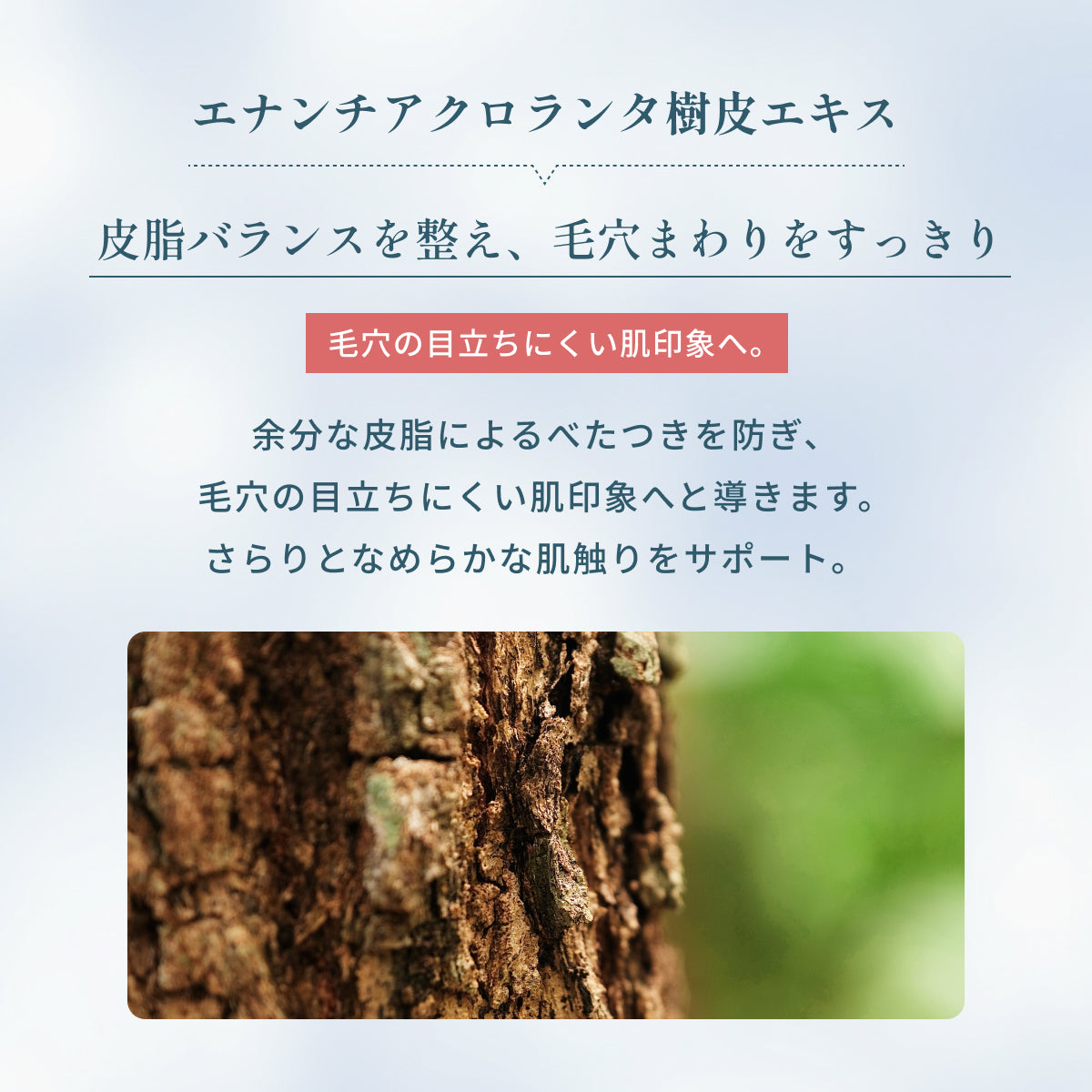 エナンチアクロランタ樹皮エキスを配合。皮脂バランスを整え、毛穴まわりをすっきり。余分な皮脂によるべたつきを防ぎ、毛穴の目立ちにくい肌印象へ導く成分説明。